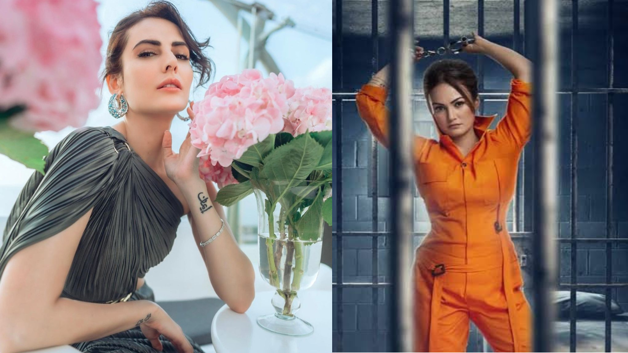 Mandana Karimi and Nisha Rawal locked horns in Kangana Ranaut's Lock Upp