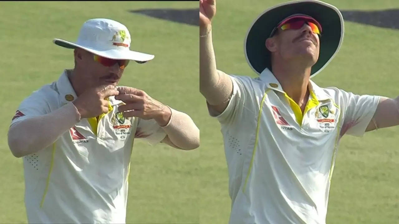 David Warner celebration