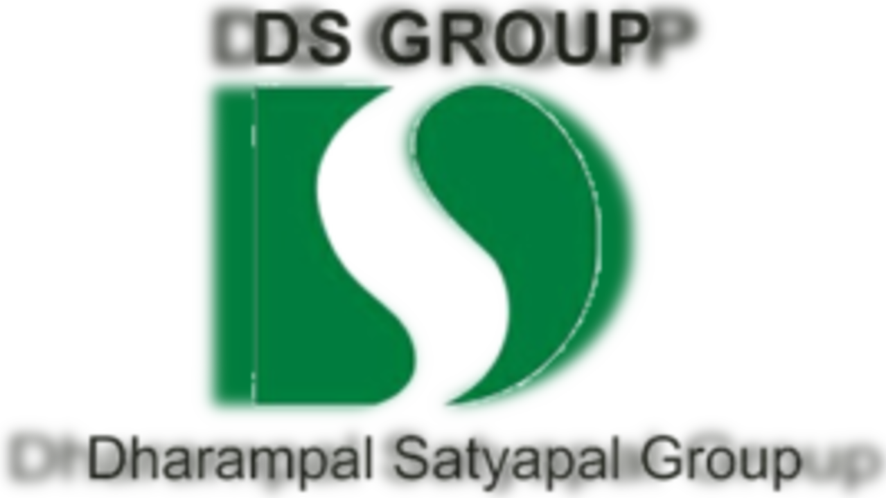 DS Group logo