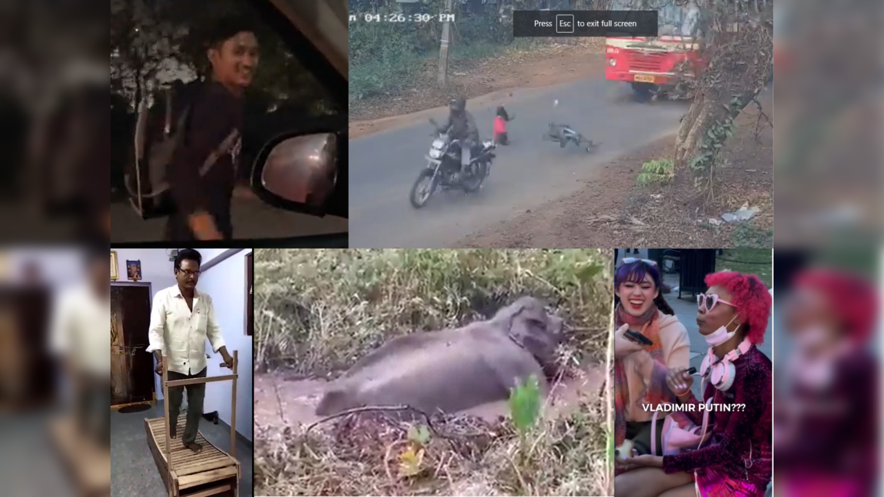 Top viral videos of the week