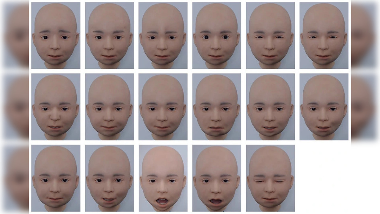 Researchers conducted a test to see if people could identify Nikola's expressions | Image courtesy: Riken