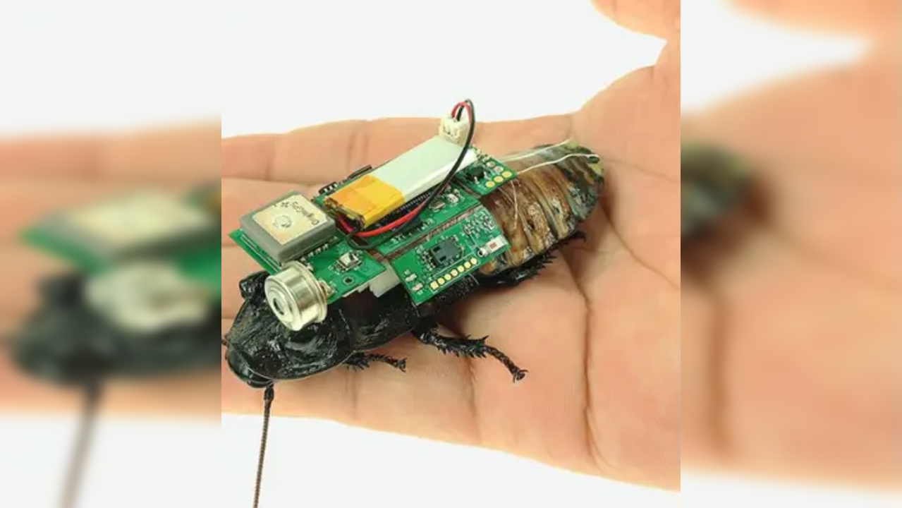 Robot cockroach