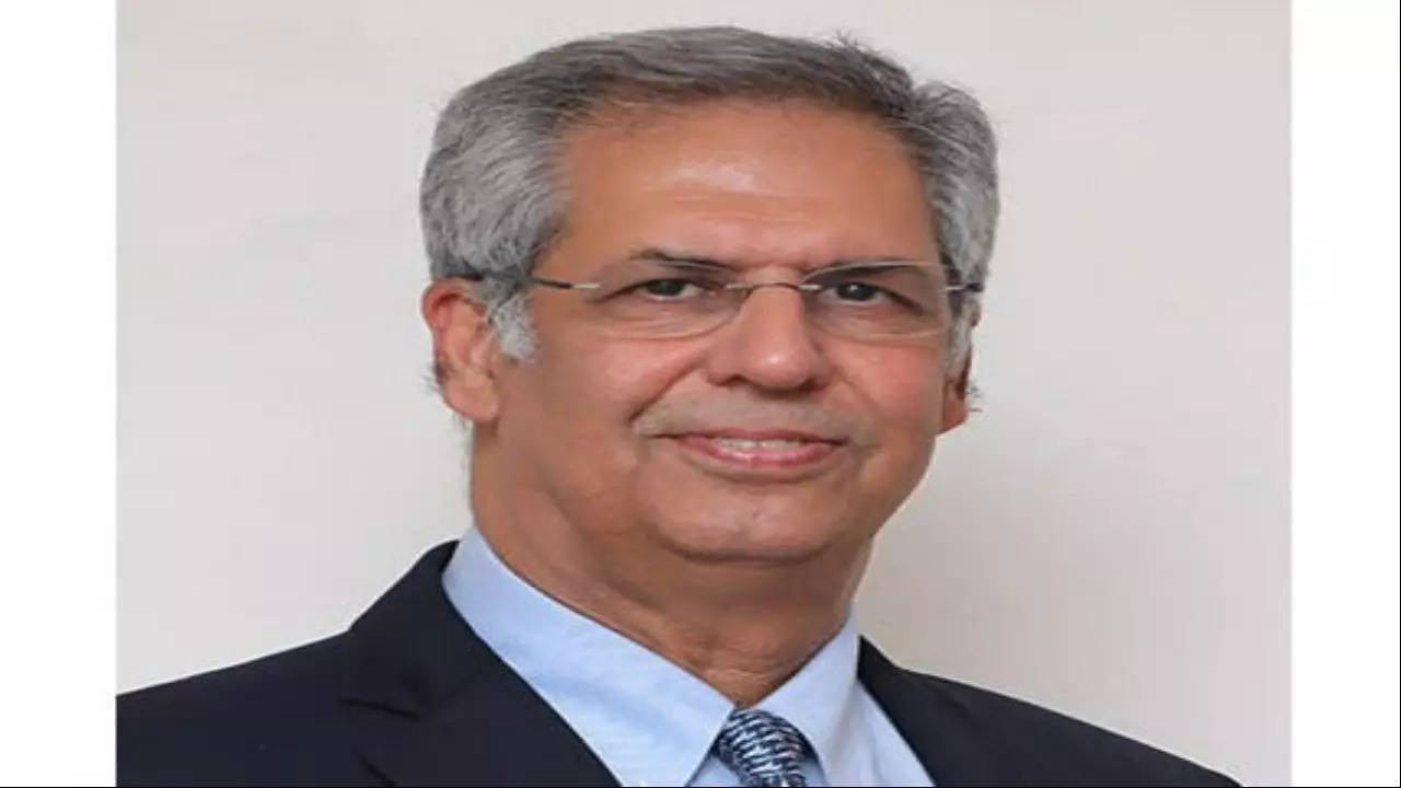 Tata Steel Appoints Noel Naval Tata As Additional Director | Times Now