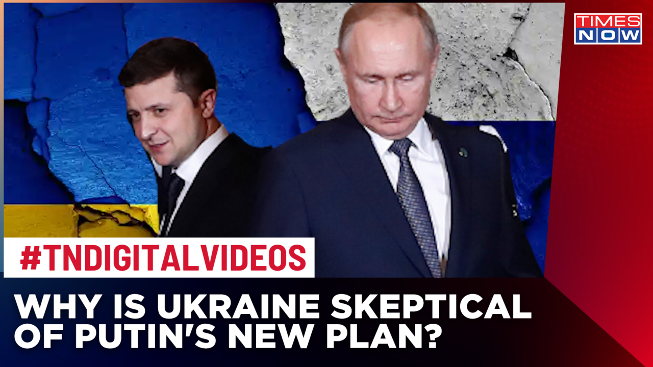 'Ukraine Not Naive': Zelenskyy Skeptical Of Putin's Plan To Cut-back ...