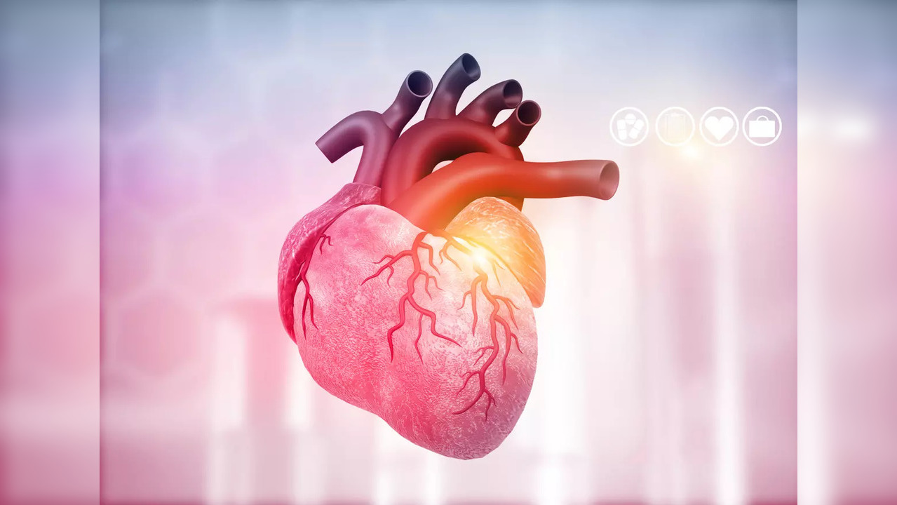 Heart health: Surprising activities that can damage your cardiovascular system