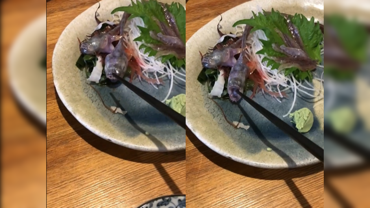 Fish served on plate opens mouth