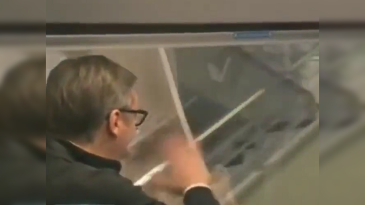 Serbian President waving at nobody