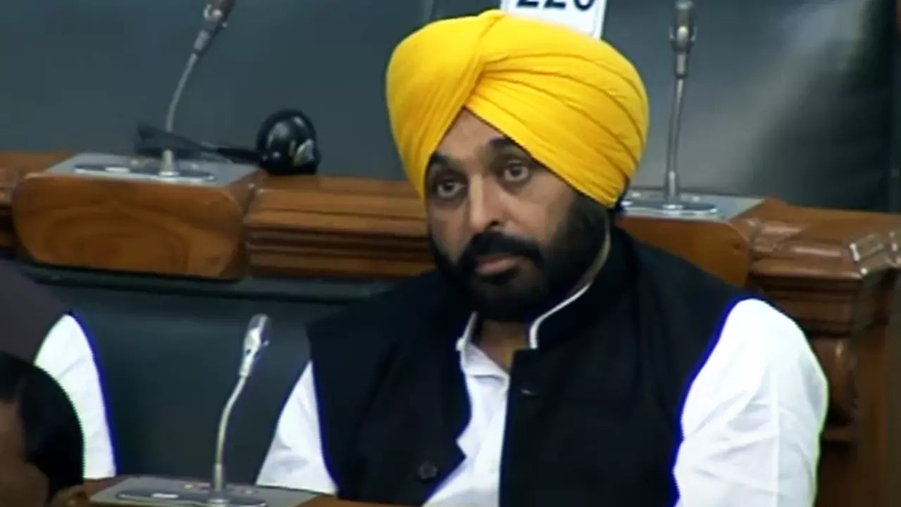 Punjab CM Bhagwant Mann IANS