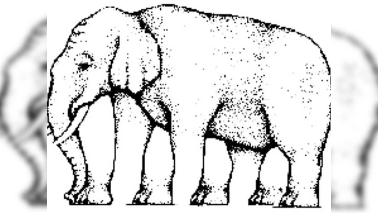 The 'Impossible Elephant' optical illusion has stumped people for years