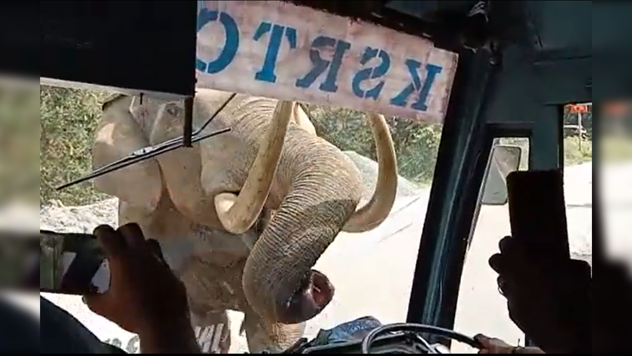 Elephant attacks bus in Kerala