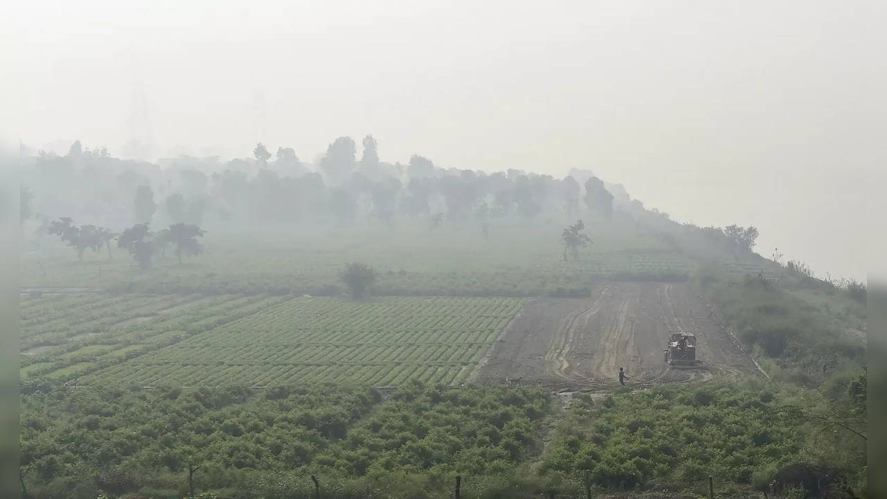 New Delhi: A farmer with his tractor works at a field amid fog at the bank of th...