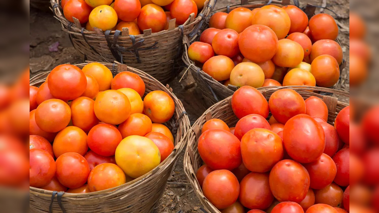 Telangana: As tomato prices crash distressed farmers dump produce on roads