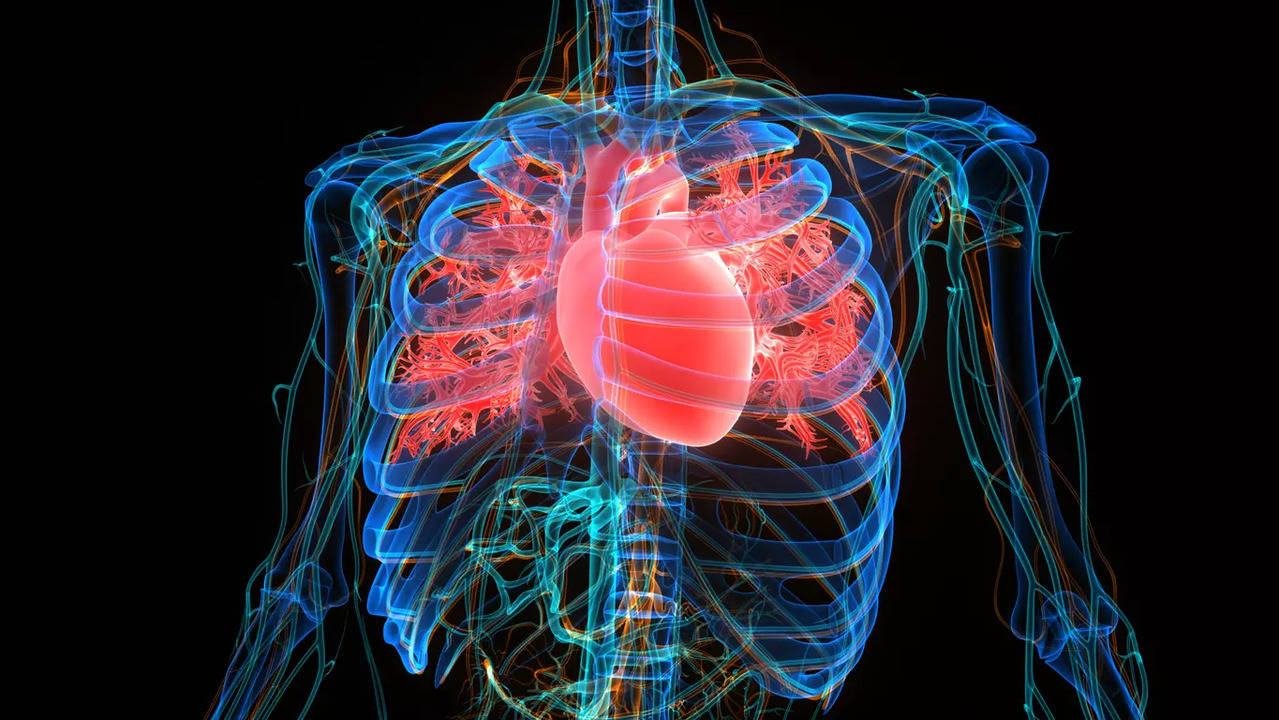 Most of the survey respondents said they would perform urinalysis and kidney ultrasound following events of enuresis to search for an underlying urinary disease.