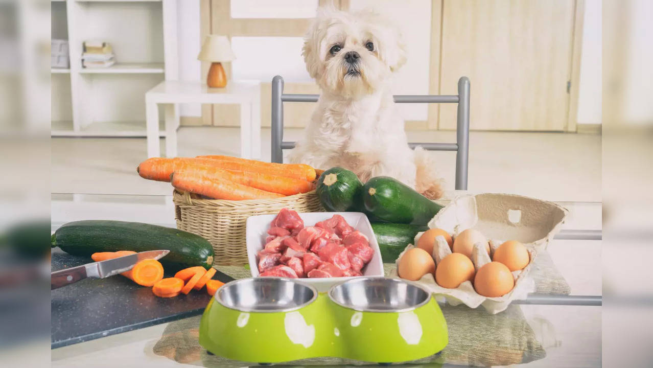 What is the healthiest diet for your dog? Study says it's vegan