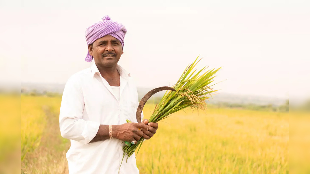 India's Non-basmati rice exports grow by 109% since 2013-14 | Economy ...