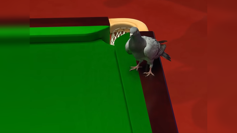 ​Pigeon interrupts play at World Snooker Championship