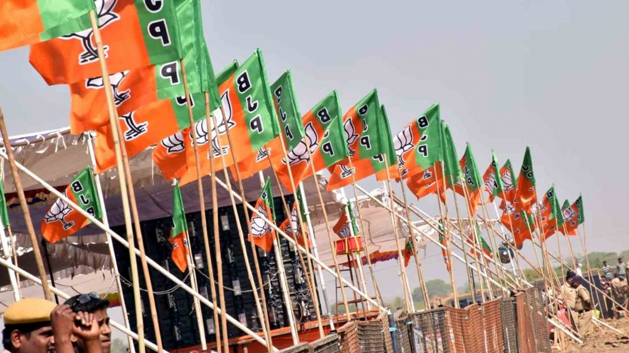 BJP flags