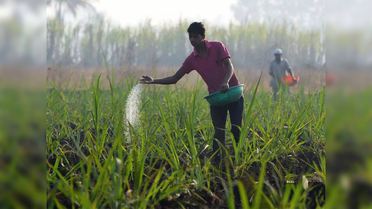 Fertilizer subsidy