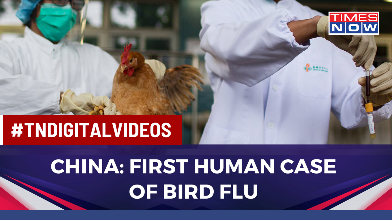 First Human Case Of H3N8 Bird Flu In China, 4-Year-Old Found Infected ...