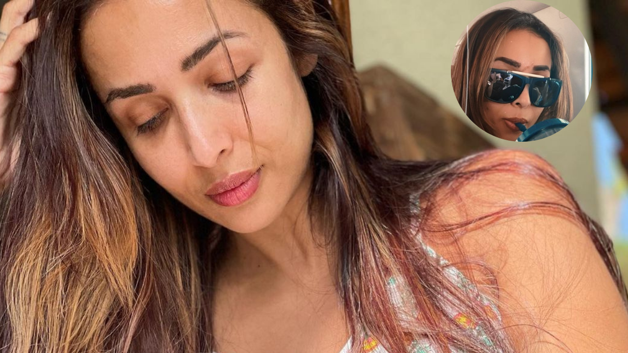 Malaika Arora flaunting her scar from car accident will remind you of THIS Alessia Cara song - see inside