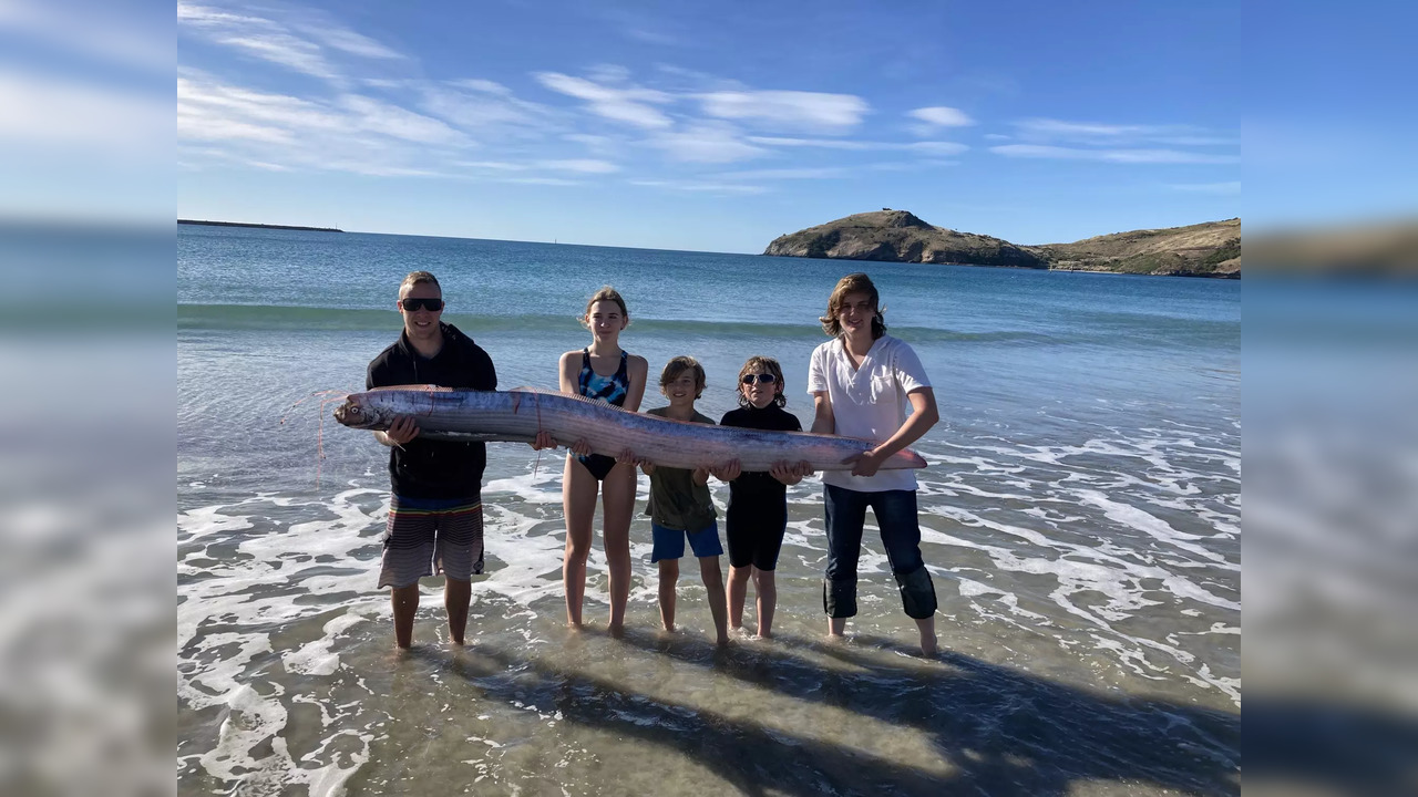 A massive oarfish