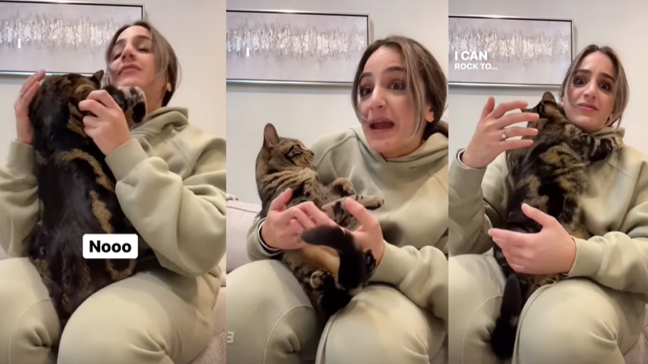 Cat owner says she wants a human baby, kitty's reaction is viral