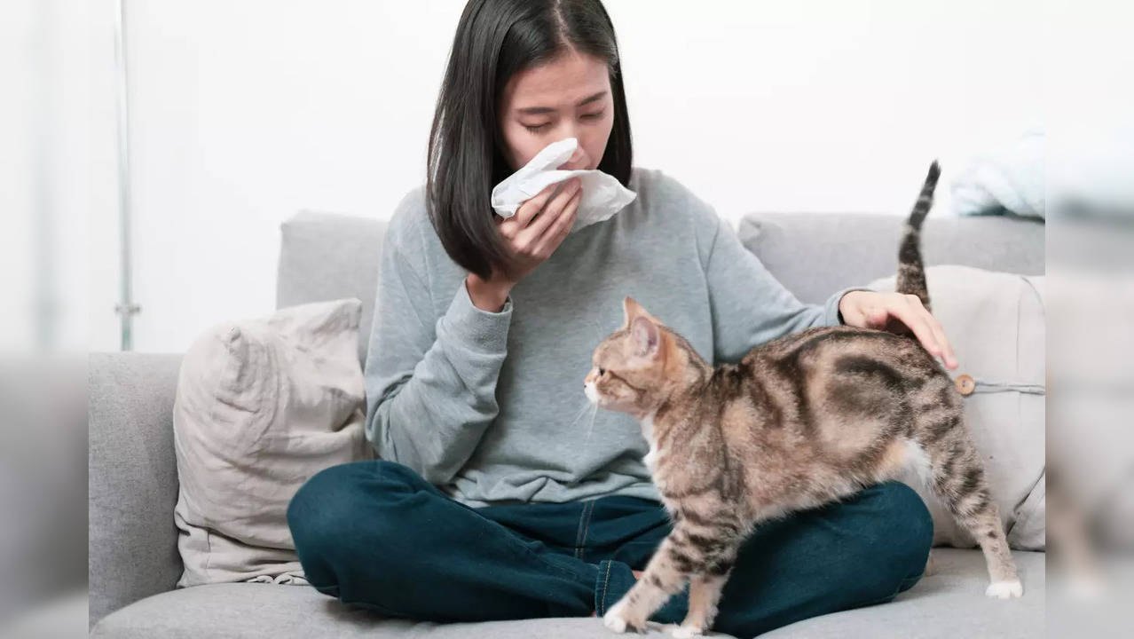 Tips and tricks: Living with pets and allergies