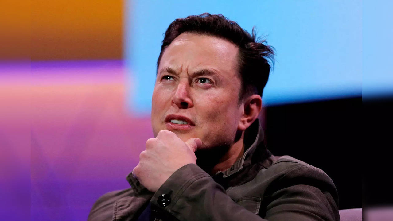 SpaceX owner and Tesla CEO Elon Musk. (File photo)