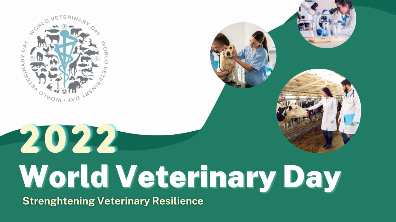 World Veterinary Day 2022