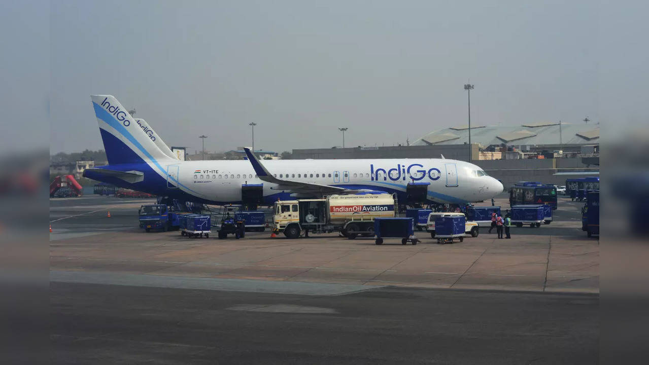 indigo