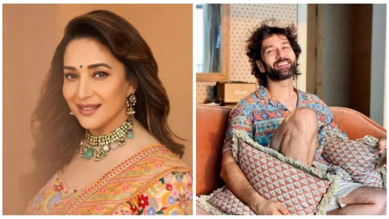 Madhuri Dixit, Nakuul Mehta