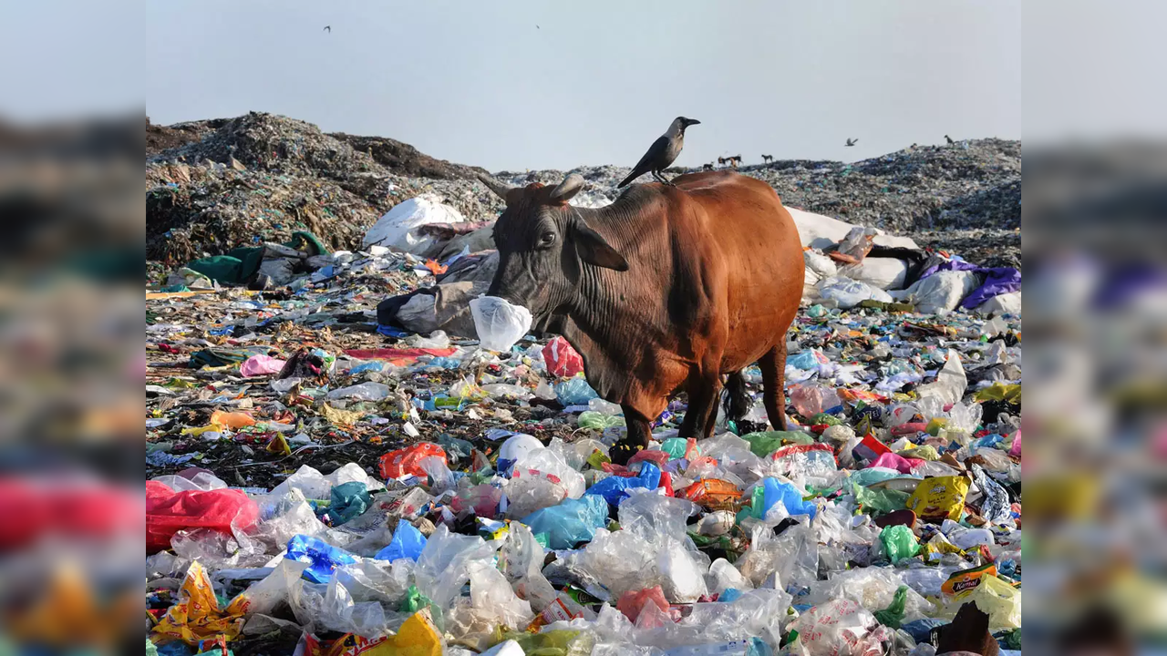 Break down plastic in days instead of centuries​