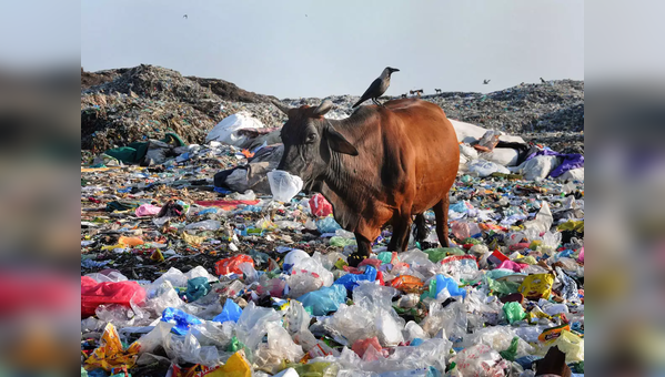 researchers-have-found-a-way-to-break-down-plastic-in-days-instead-of