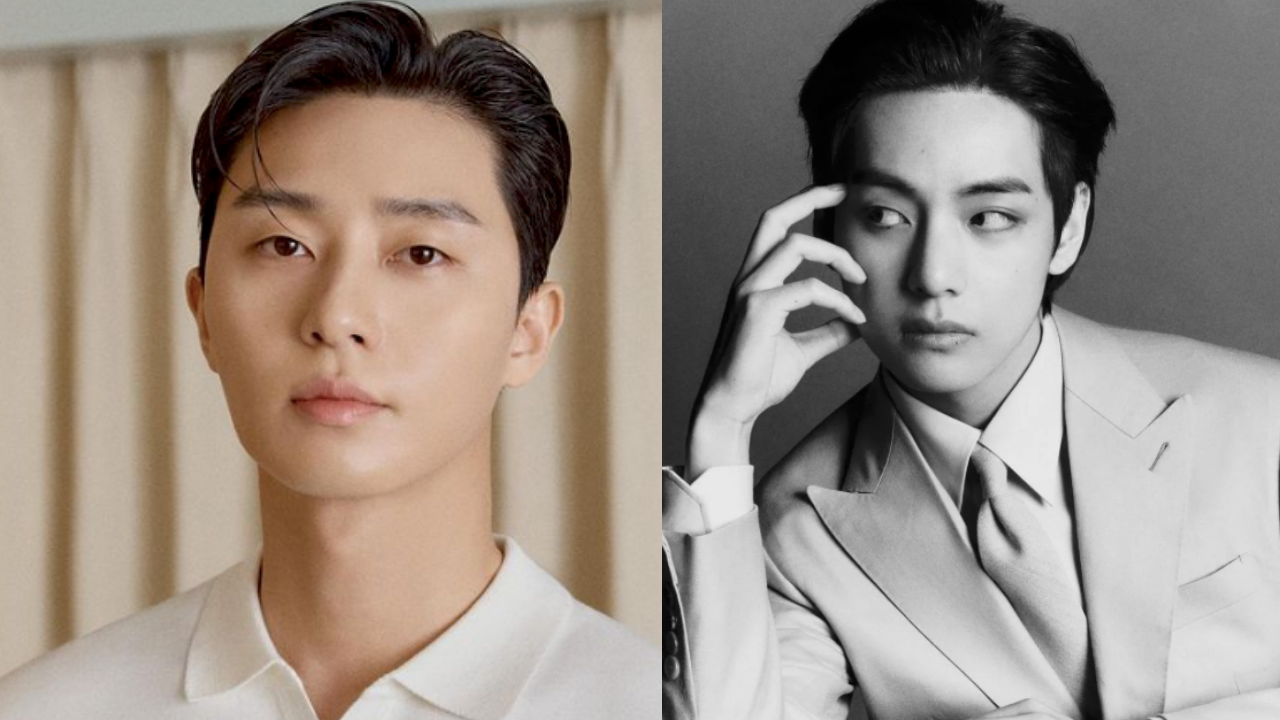 Park Seo Joon and BTS' V