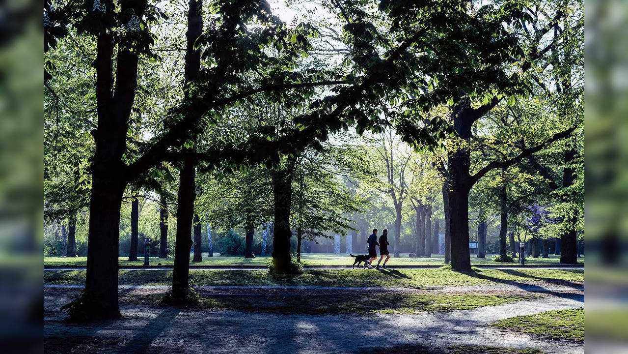 jogging chatting talking