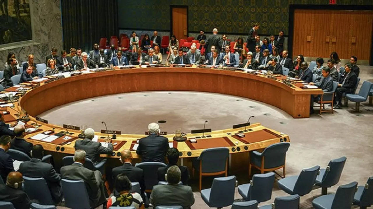 ​UN Security Council​ | Representational image