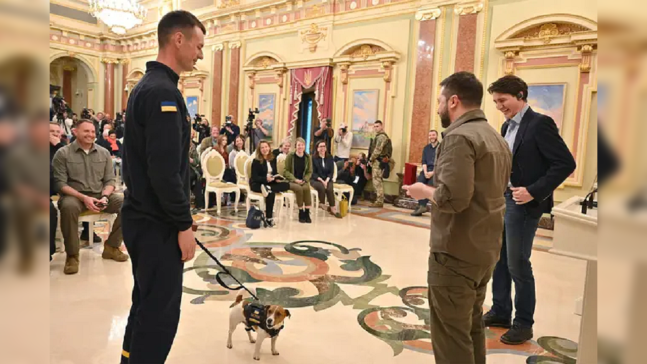 Sniffer dog receives Ukrainian medal of honour