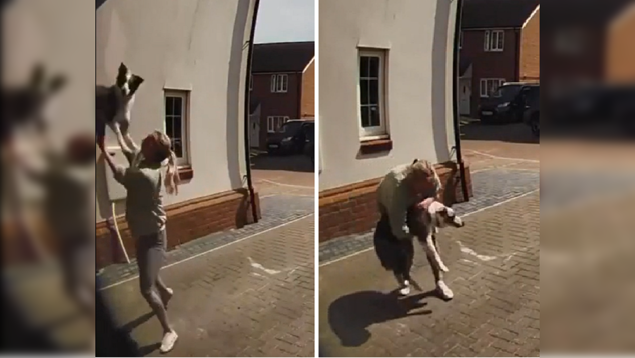 Woman catches dog falling out of a window