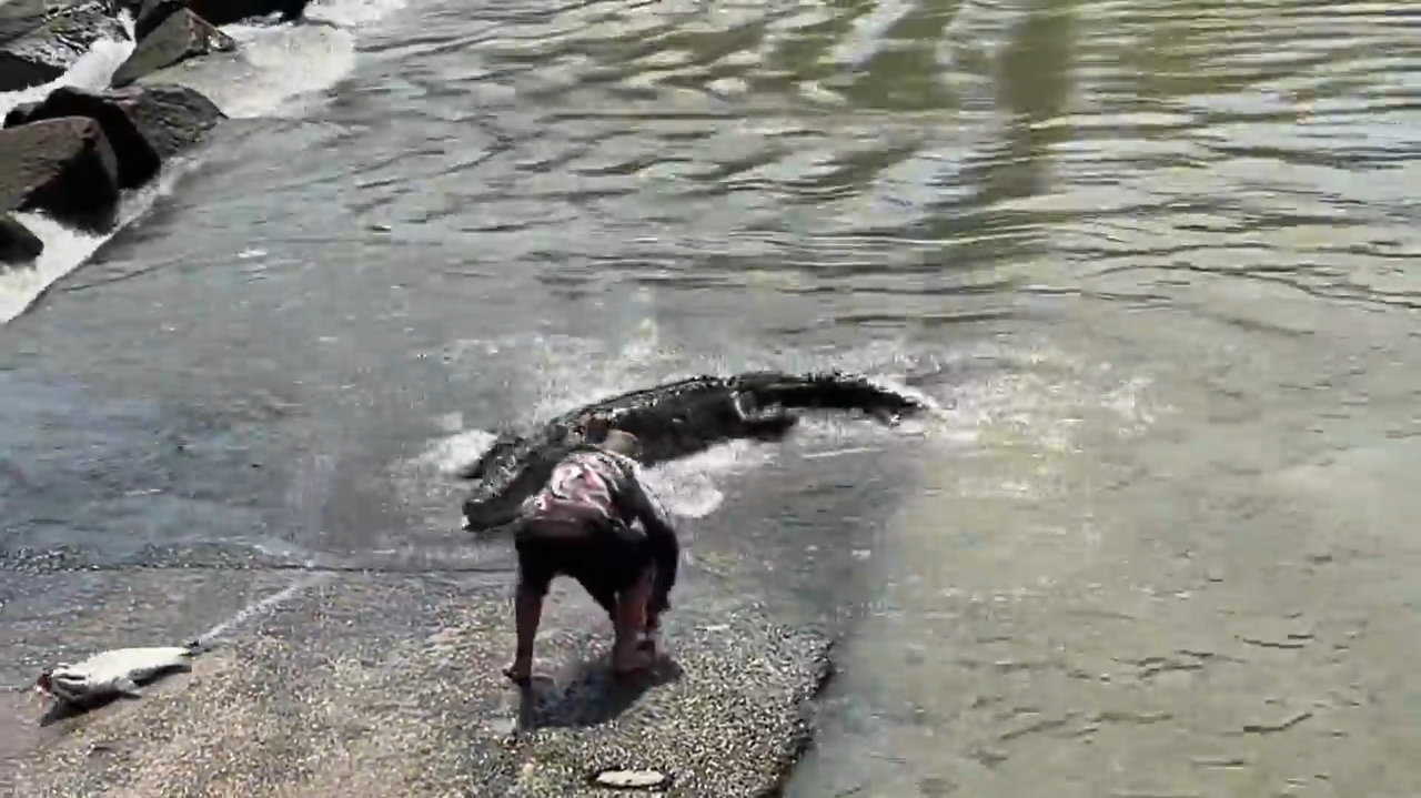 Father risks life to save son's hat from crocodile