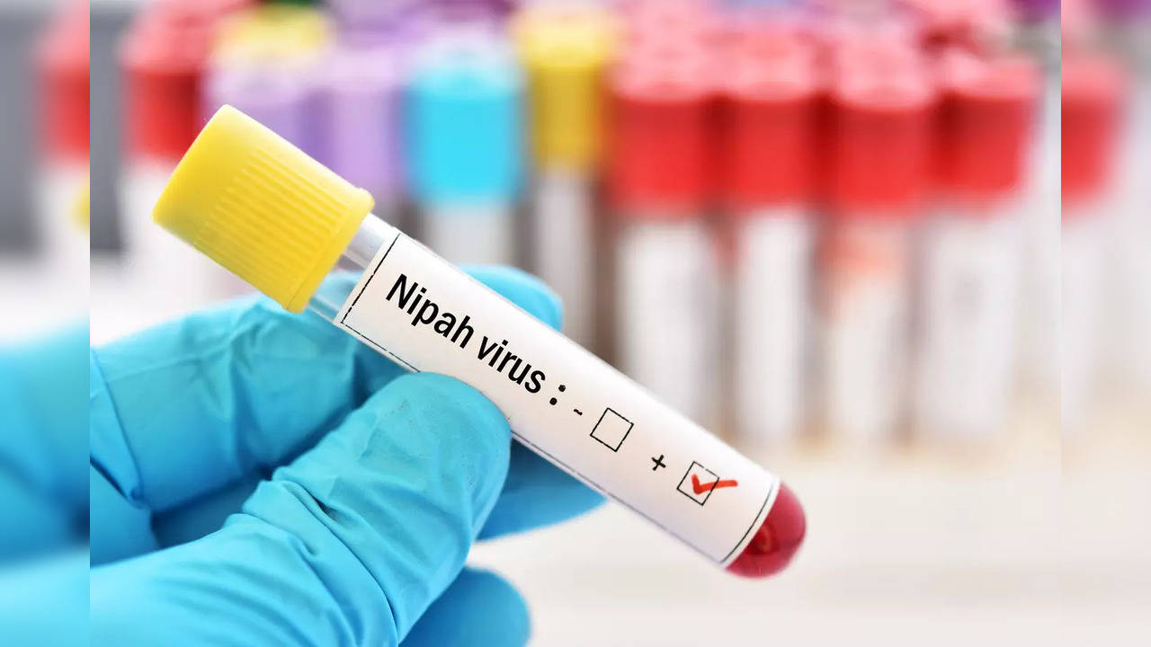 Nipah virus alert issued in Kerala - Know the symptoms and prevention tips for NiV