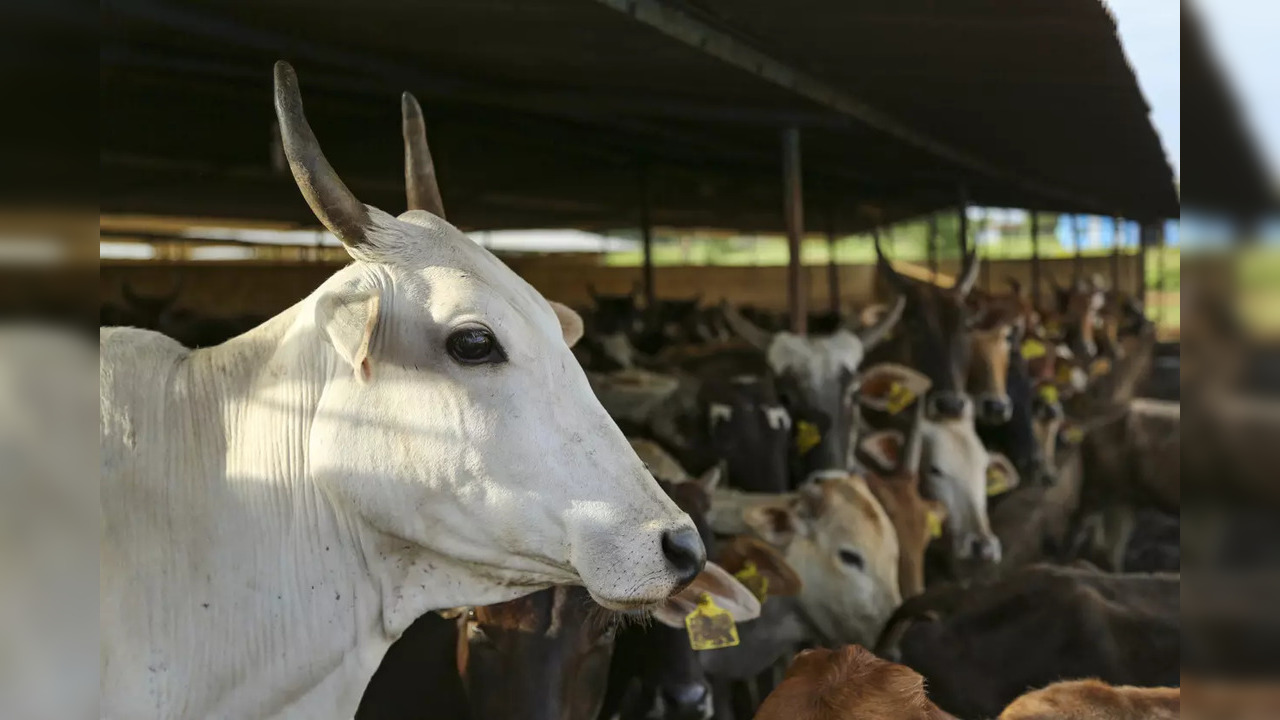 Demanding a hike in milk prices, dairy farmers to protest against state government on May 21