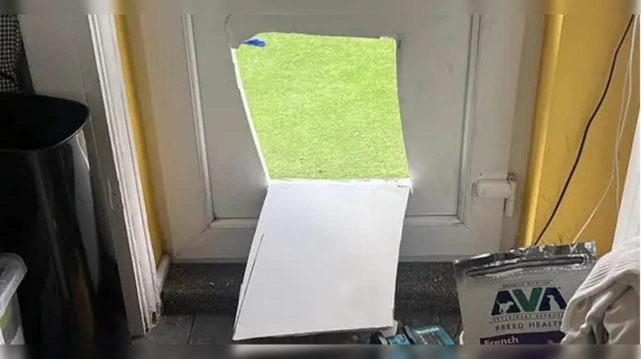 Thief cuts a hole in the front door