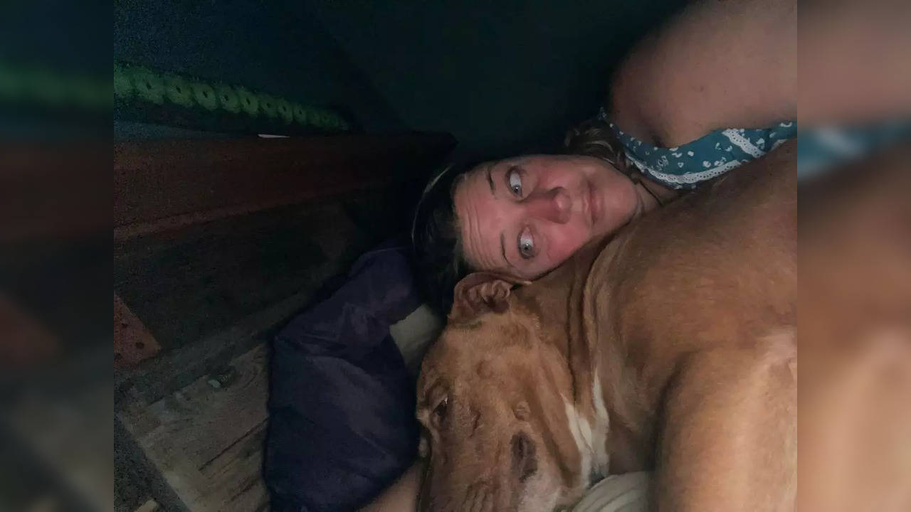 A couple woke up to find a dog snuggled in bed with them. It was