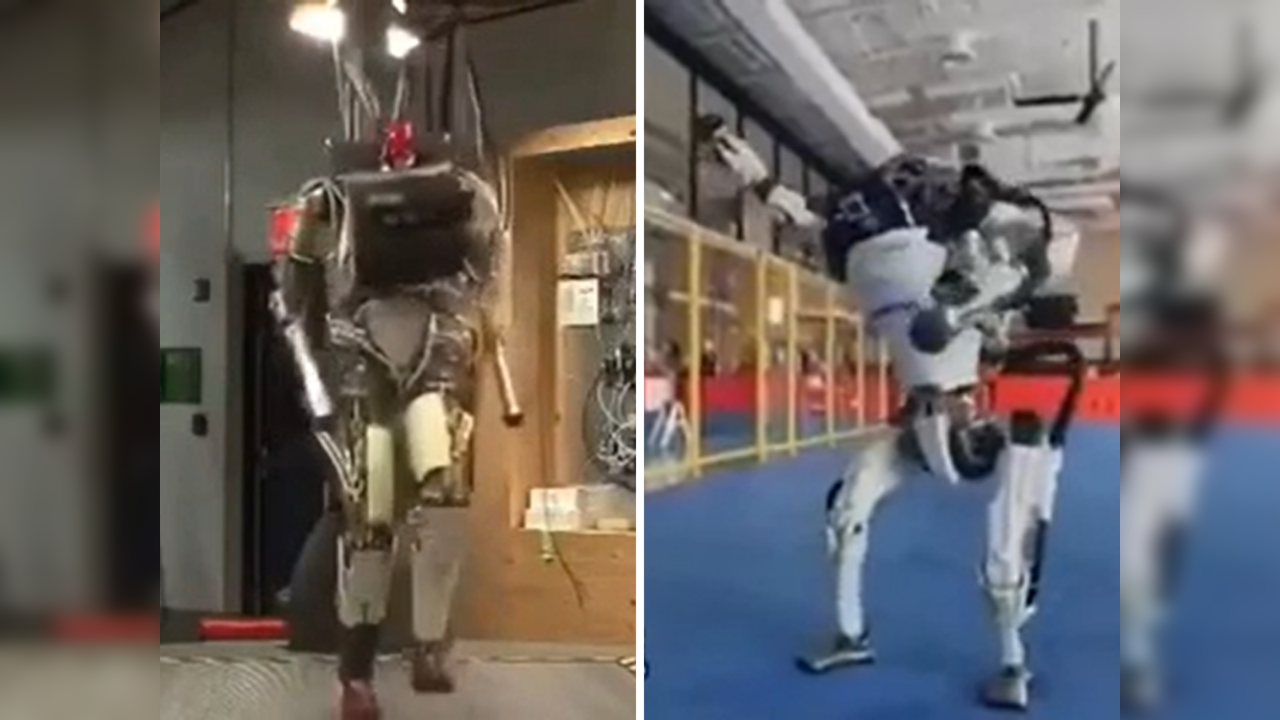 The evolution of humanoid robots