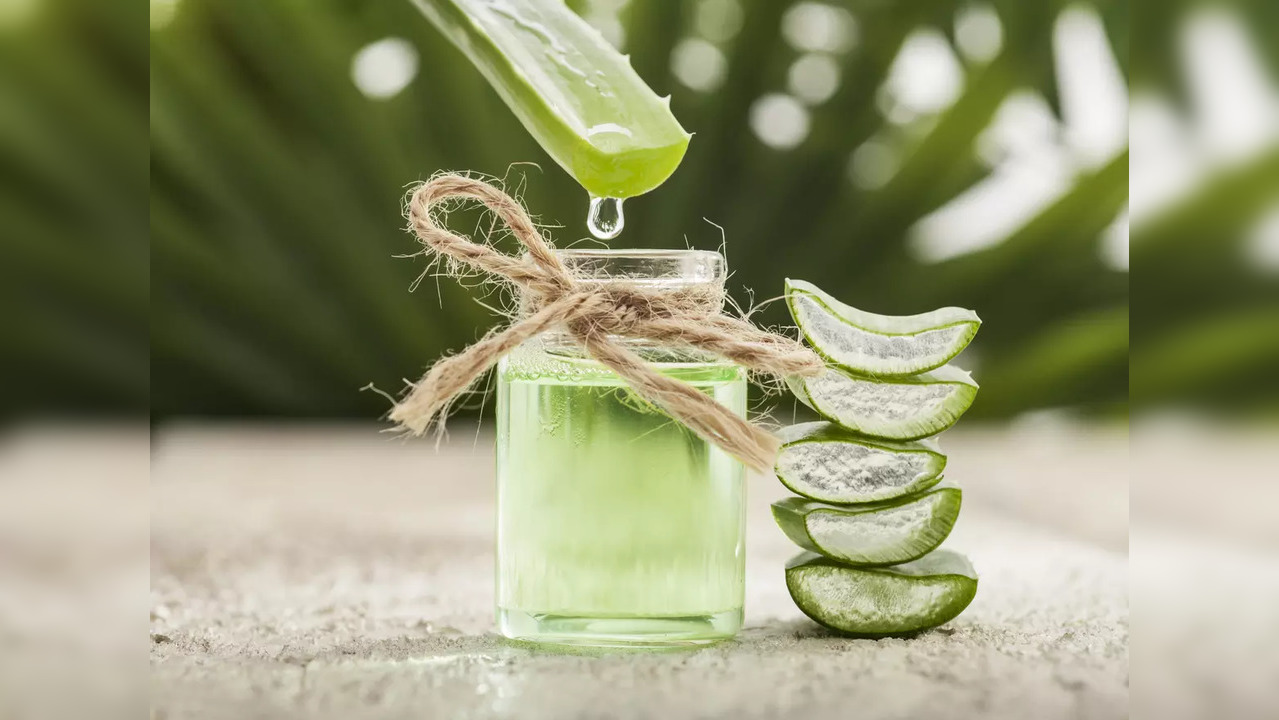 Aloe vera is also effective for regulating periods. Cut one leaf, extract its gel and mix with a teaspoon of honey. This should be consumed on an empty stomach for maximum health benefits.