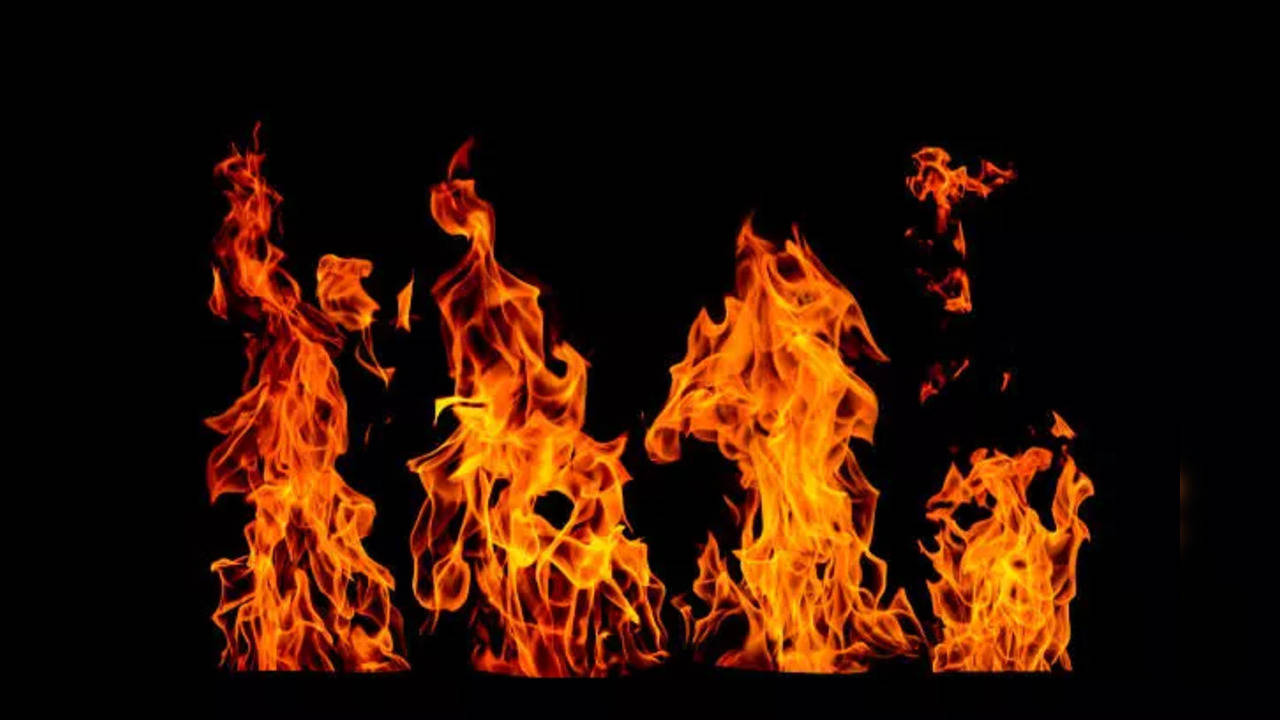 Rajasthan woman ablaze