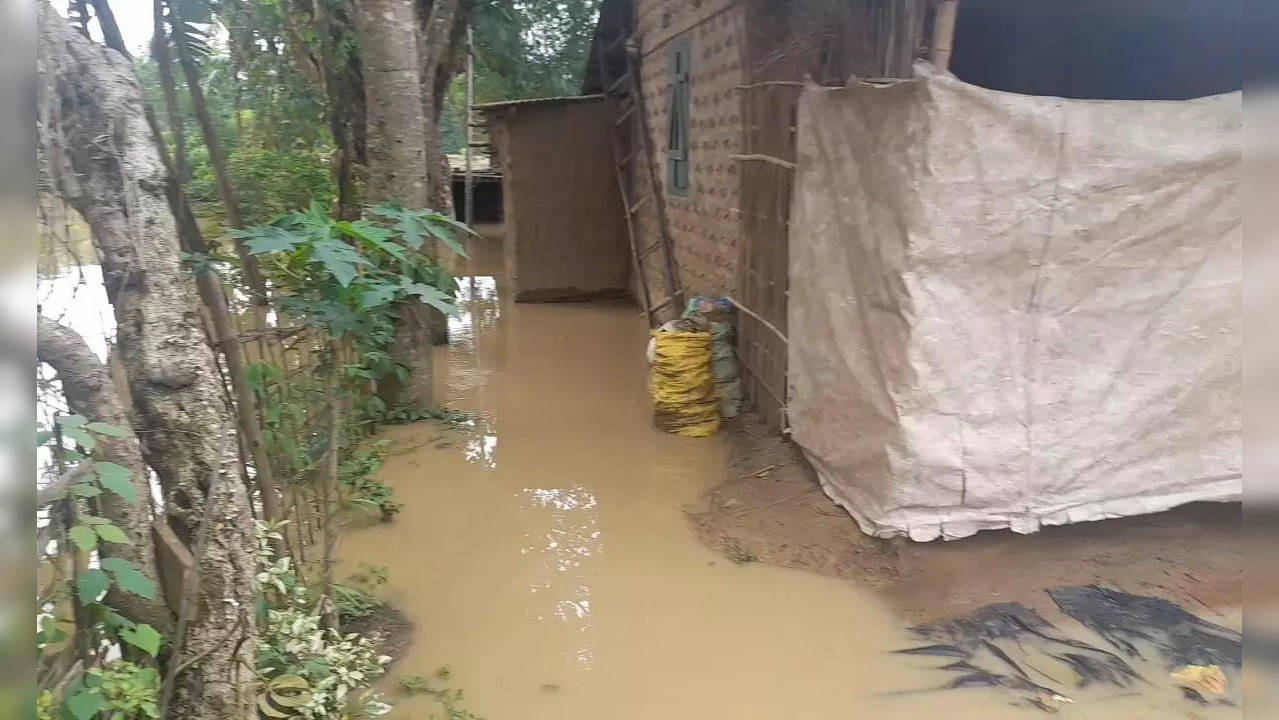 Assam Floods Kopili River Enters Living Rooms And Farmlands Video Of Local Aquaman Goes Viral