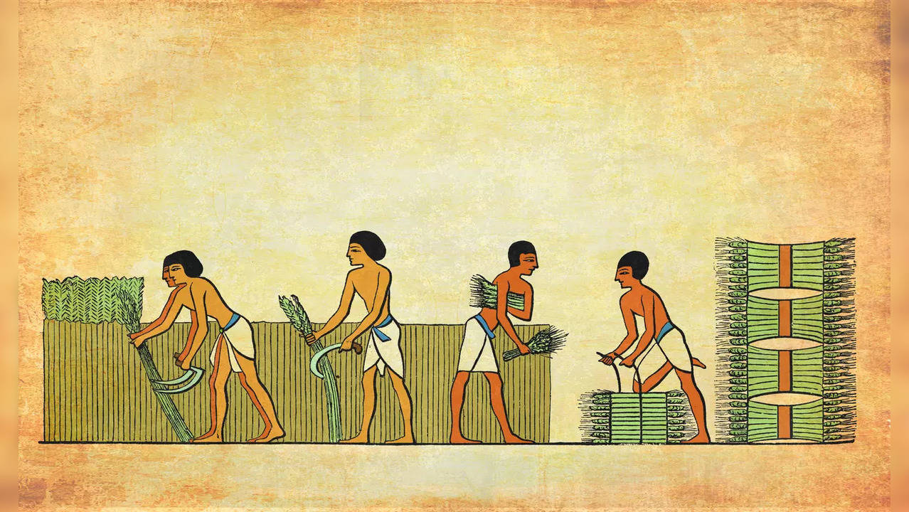 Ancient man farming