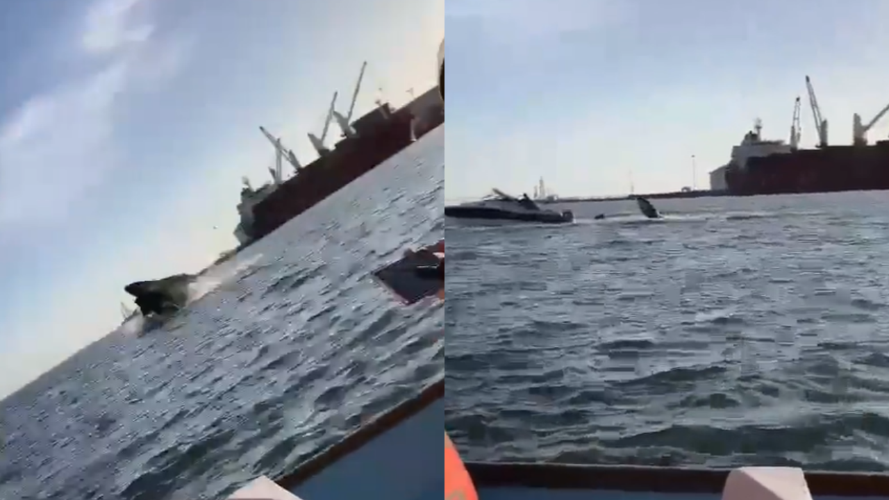 Humpback whale lands on tourist boat