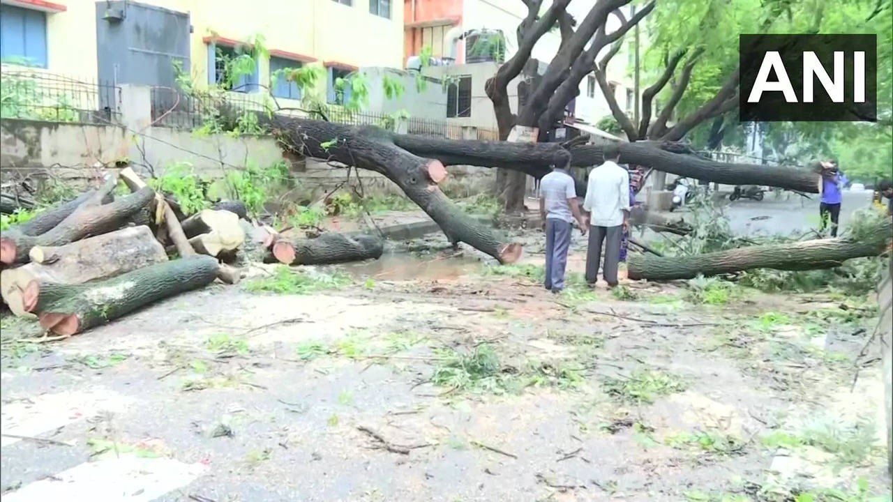 Trees uprooted, auto-rickshaw stuck at an inundated underpass in Bengaluru in the aftermath of heavy rainfall